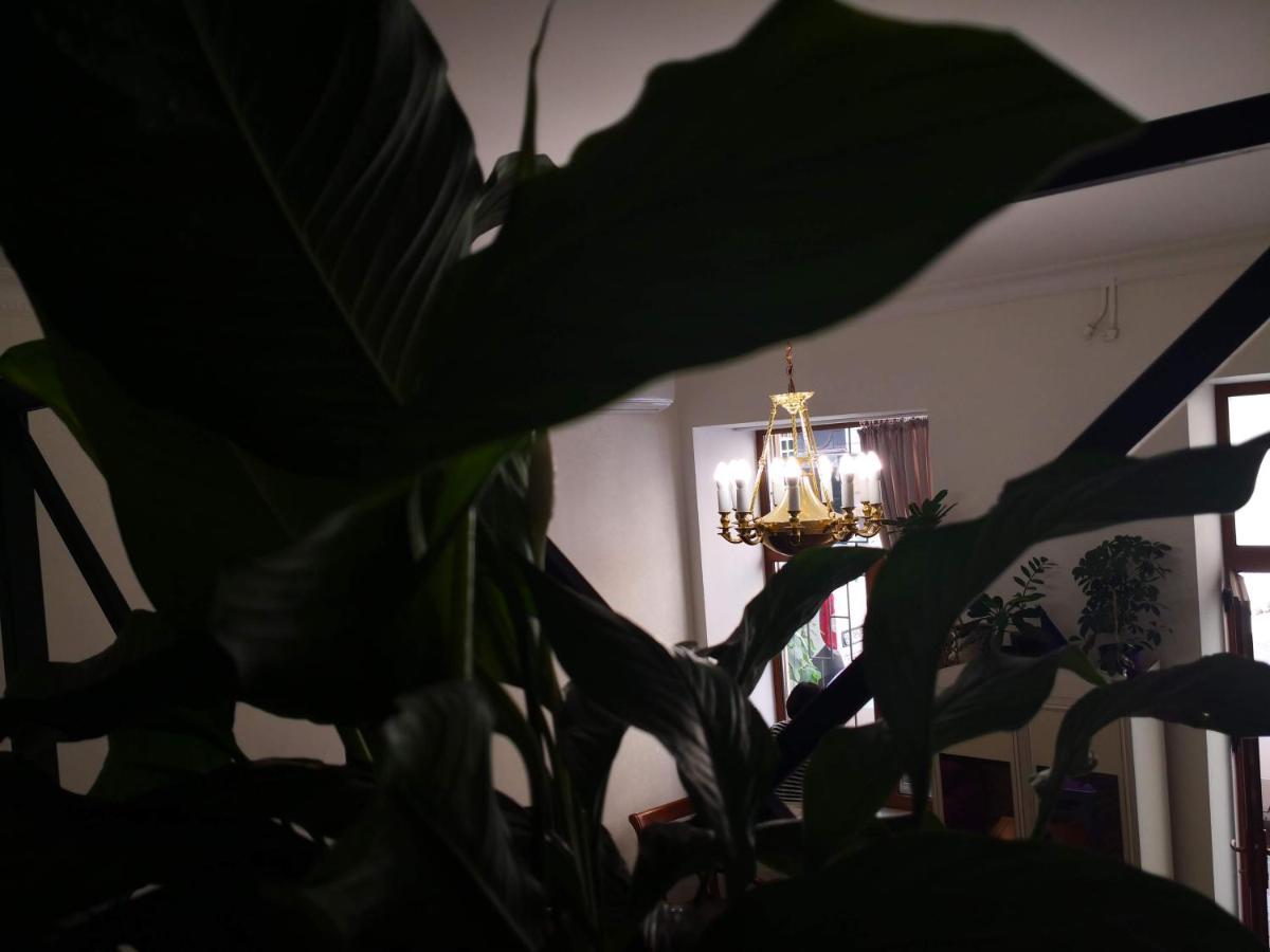 Затишні Апартаменти, Вулиця Дерибасівська, 13 Odessza Kültér fotó